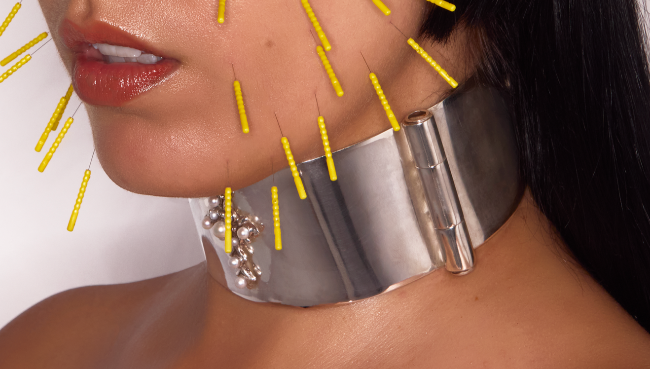 NIICOLE POLLARD _ MECHANICAL ANIMAL CHOKER