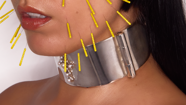 NIICOLE POLLARD _ MECHANICAL ANIMAL CHOKER