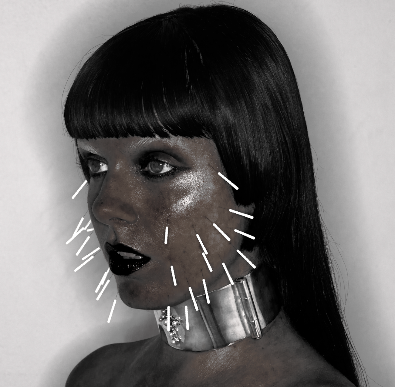 NIICOLE POLLARD _ MECHANICAL ANIMAL CHOKER