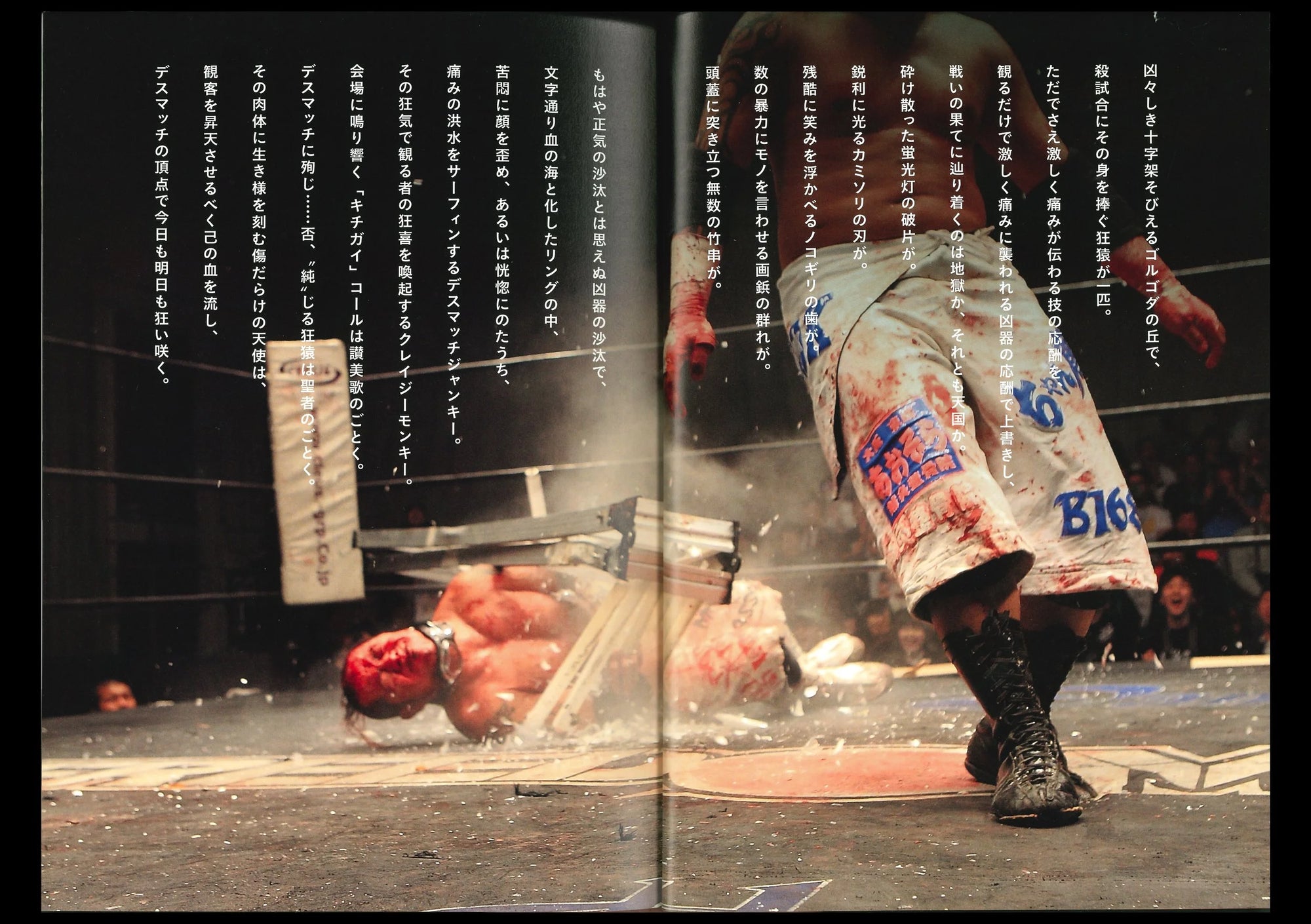 HIFI-SCIFI _ DEATH MATCH - EXTREME WRESTLING BOOK [2016]