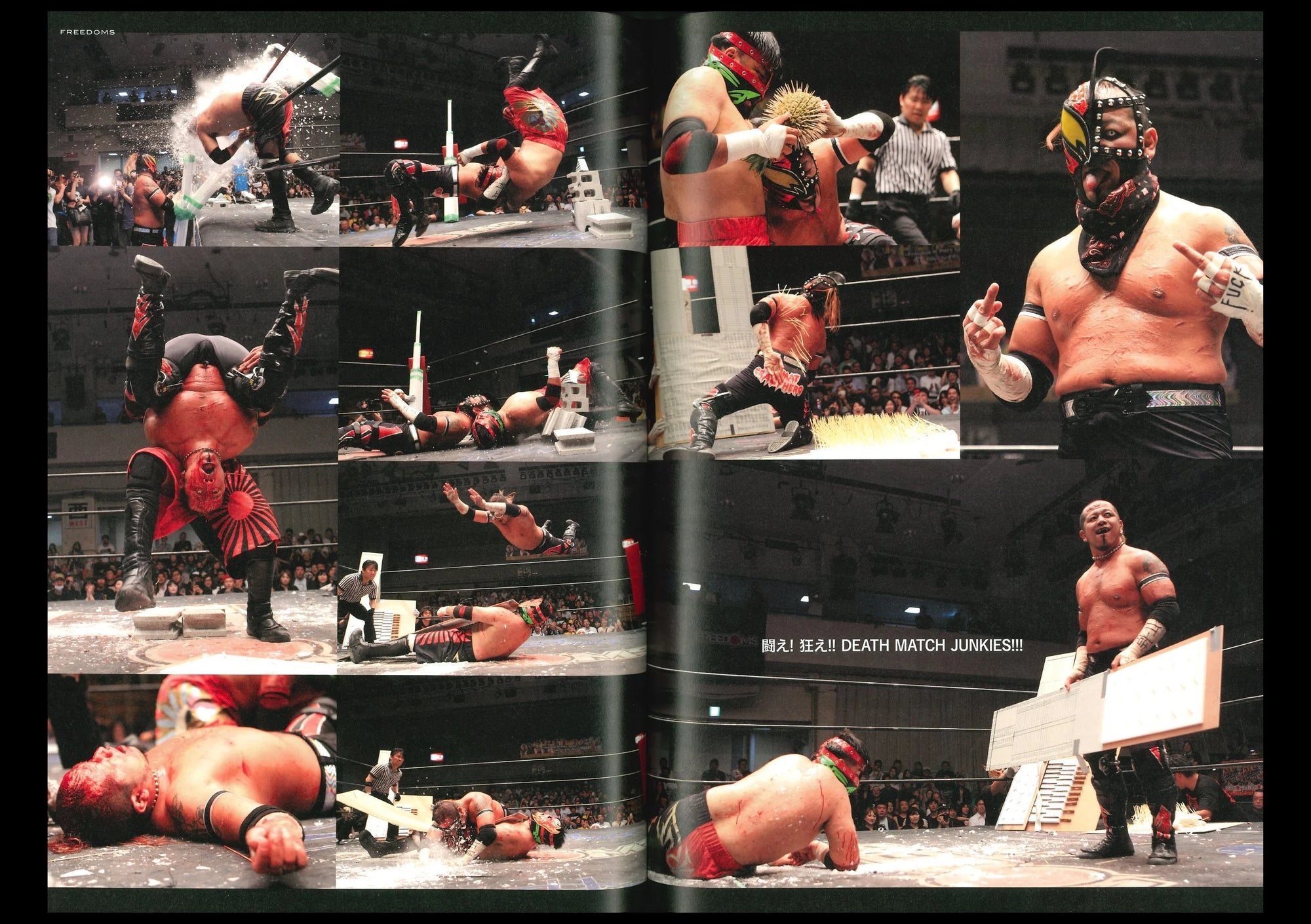 HIFI-SCIFI _ DEATH MATCH - EXTREME WRESTLING BOOK [2016]