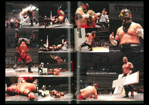 HIFI-SCIFI _ DEATH MATCH - EXTREME WRESTLING BOOK [2016]