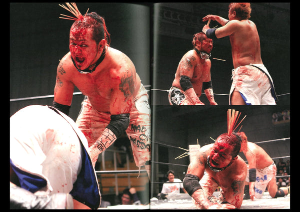 HIFI-SCIFI _ DEATH MATCH - EXTREME WRESTLING BOOK [2016]
