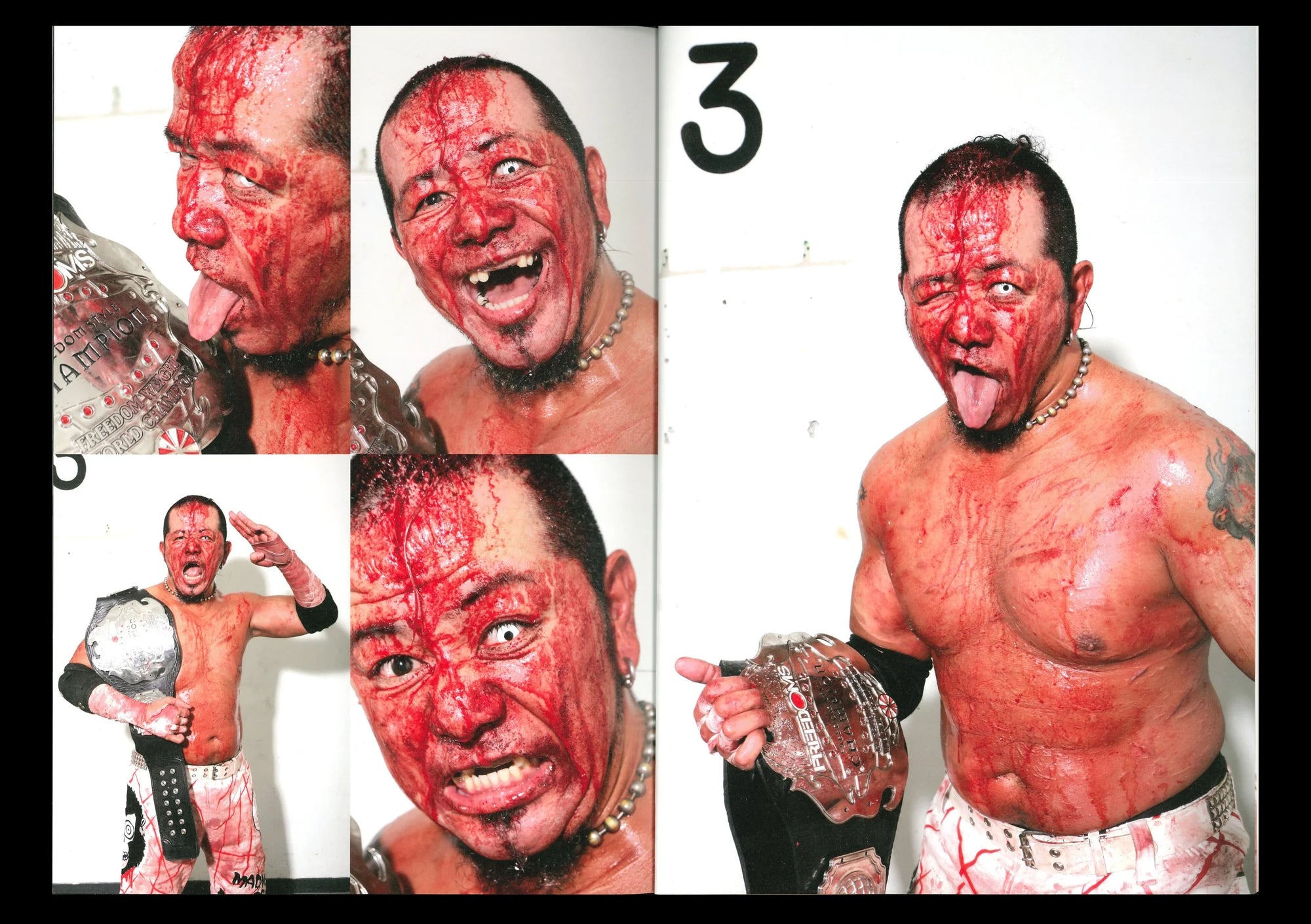 HIFI-SCIFI _ DEATH MATCH - EXTREME WRESTLING BOOK [2016]