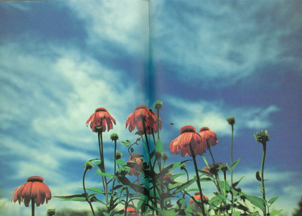 HIFI-SCIFI _ MIKA NINAGAWA - PINK ROSE SUITE PHOTOBOOK [2001]