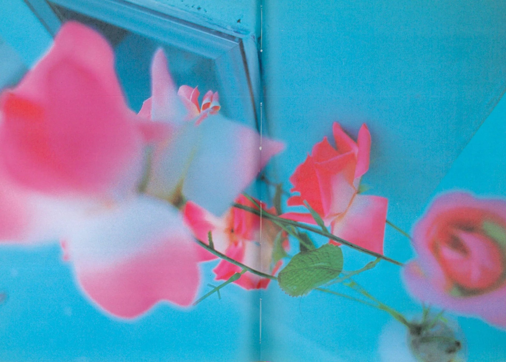 HIFI-SCIFI _ MIKA NINAGAWA - PINK ROSE SUITE PHOTOBOOK [2001]