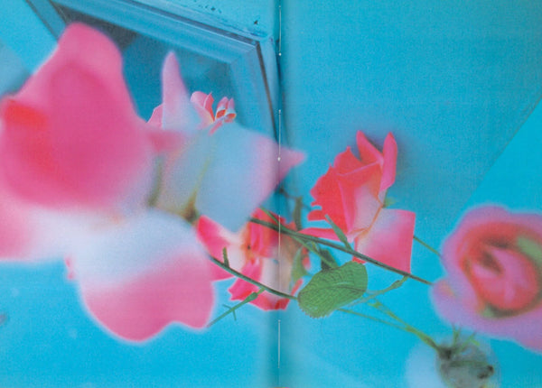 HIFI-SCIFI _ MIKA NINAGAWA - PINK ROSE SUITE PHOTOBOOK [2001]