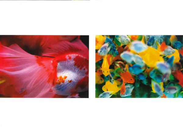 HIFI-SCIFI_ MIKA NINAGAWA - SELF IMAGE PHOTO BOOK [2013]