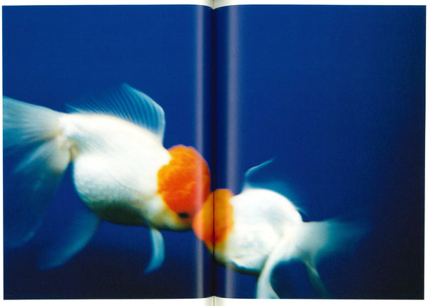 HIFI-SCIFI_ MIKA NINAGAWA - SELF IMAGE PHOTO BOOK [2013]