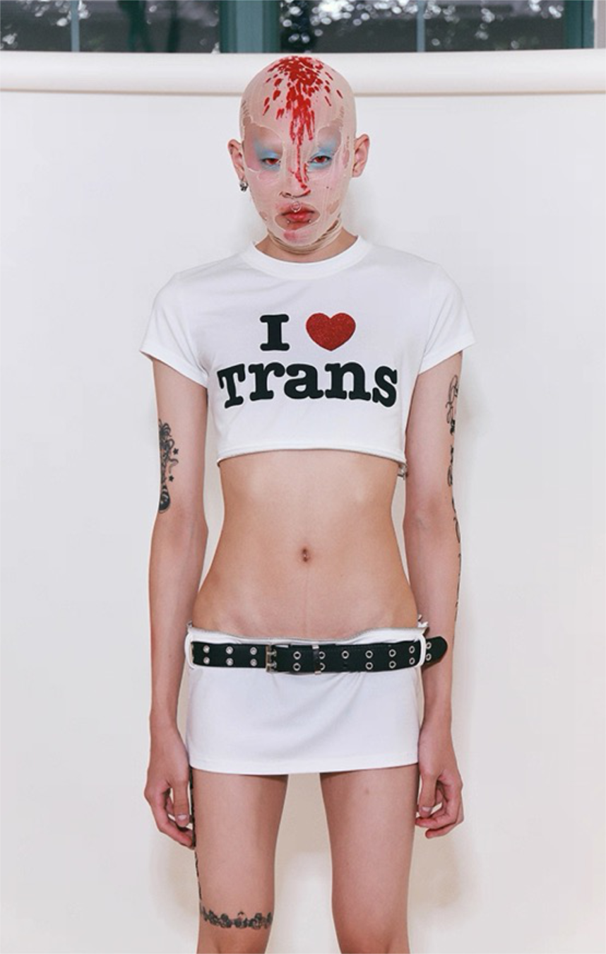 Fruitanari _ PRIDE TEE? ...OR A SET!